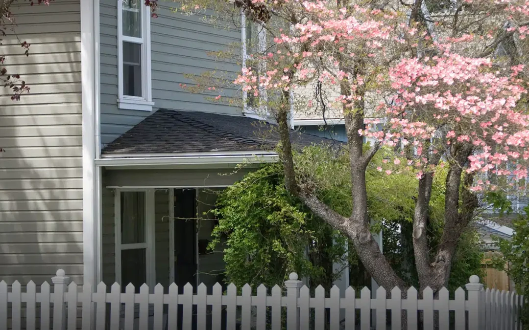 How to Properly Maintain a Fence