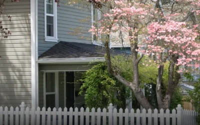 How to Properly Maintain a Fence